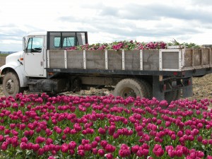 Landscapers insurance Ohio