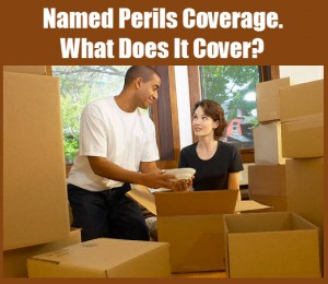Named Perils Coverage